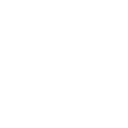 van (4)